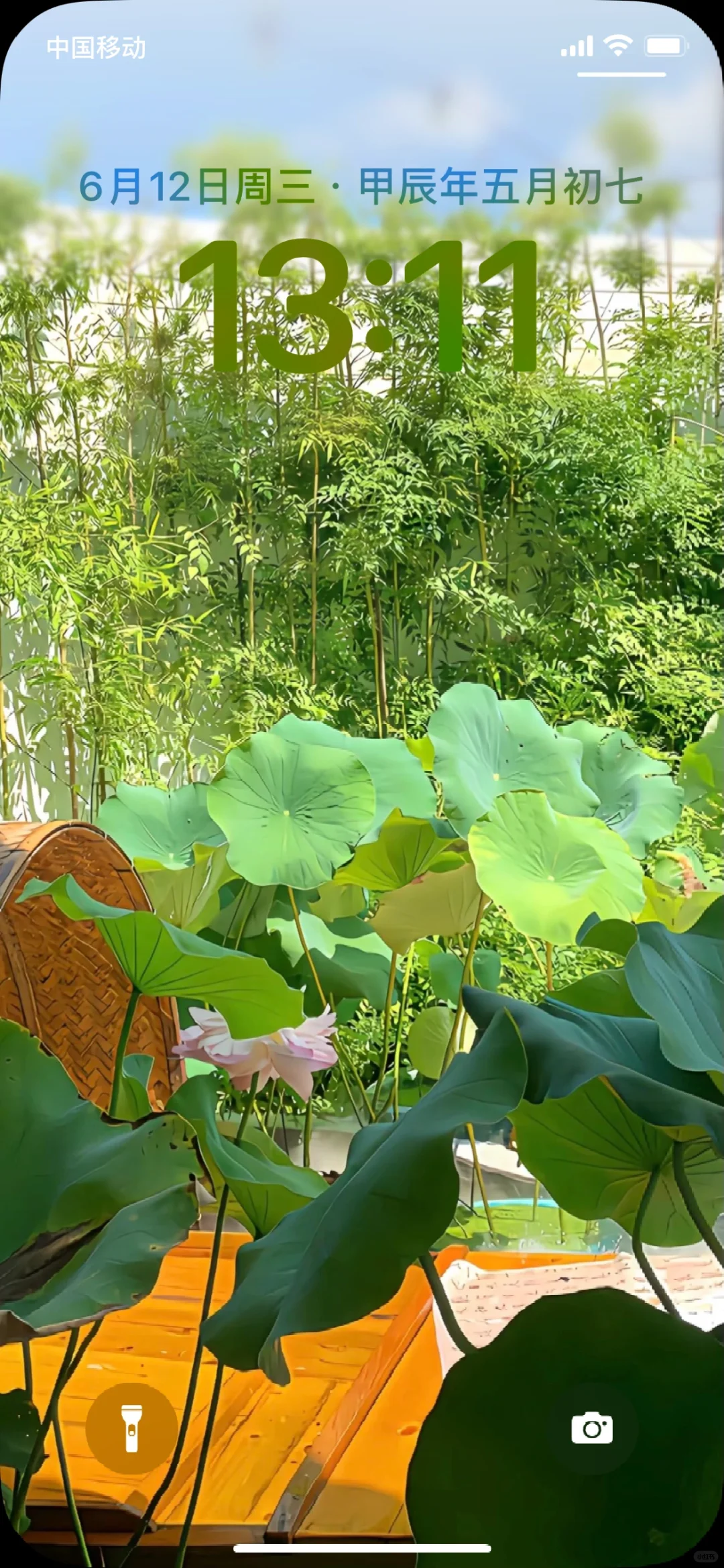 -? 夏日?—手机壁纸—好喜欢这种氛围