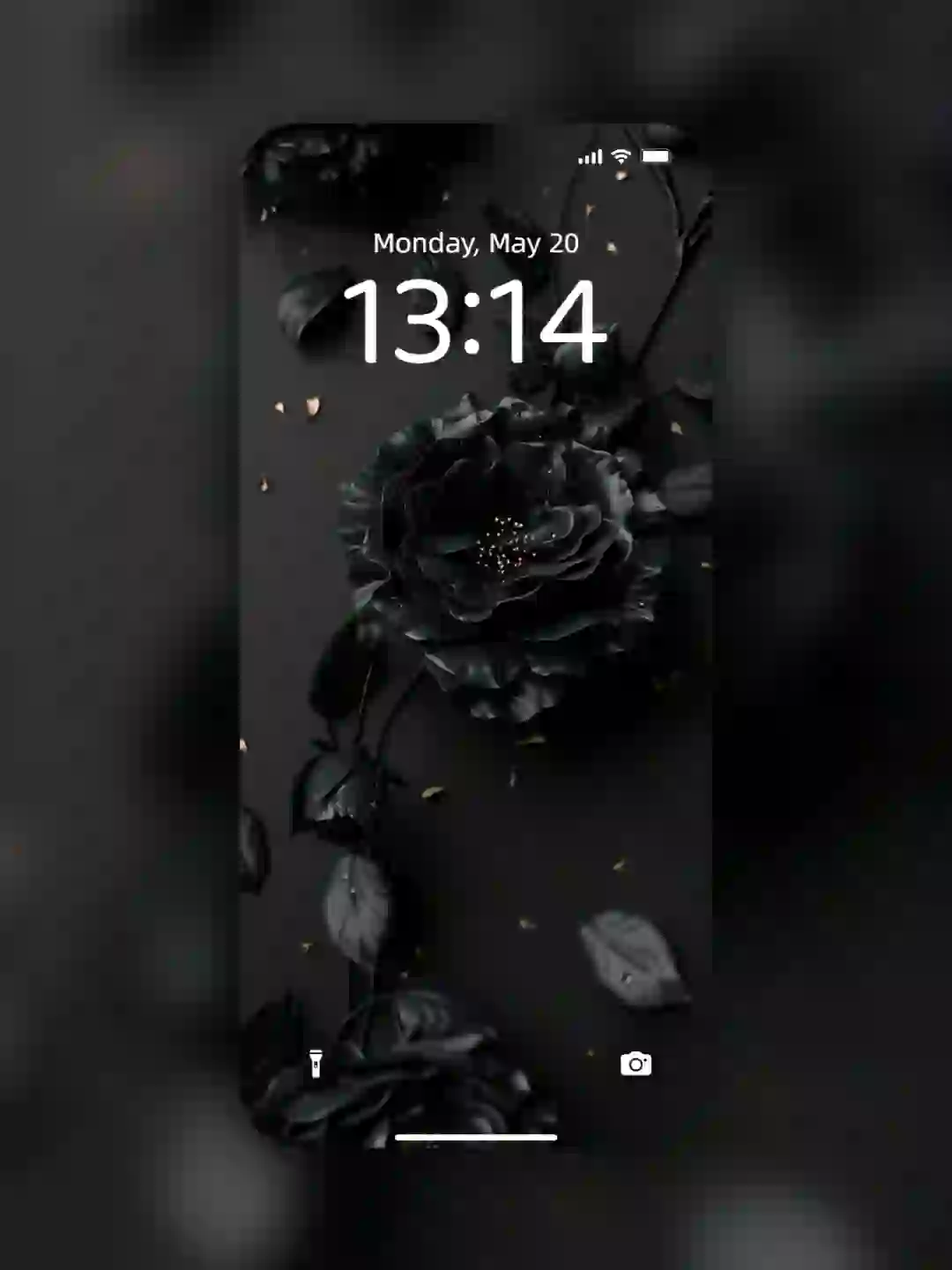 暗夜玫瑰🌹手机壁纸📱高级质感壁纸