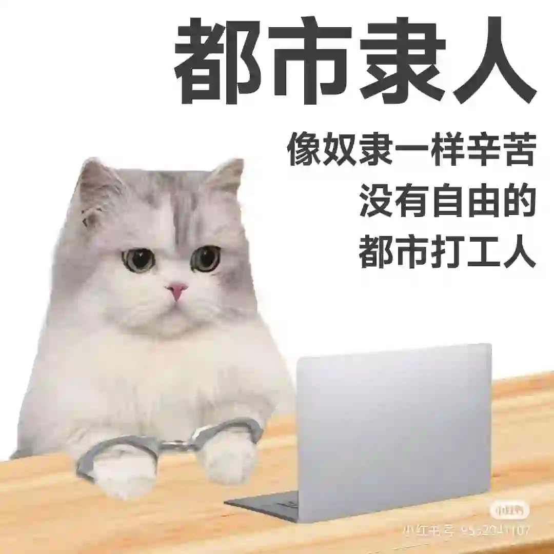 是谁在上班？|上班发疯表情包