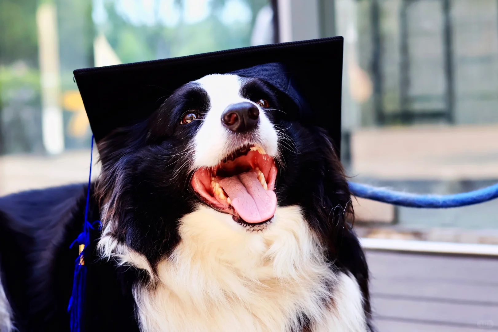 捧场的临时模特🎓