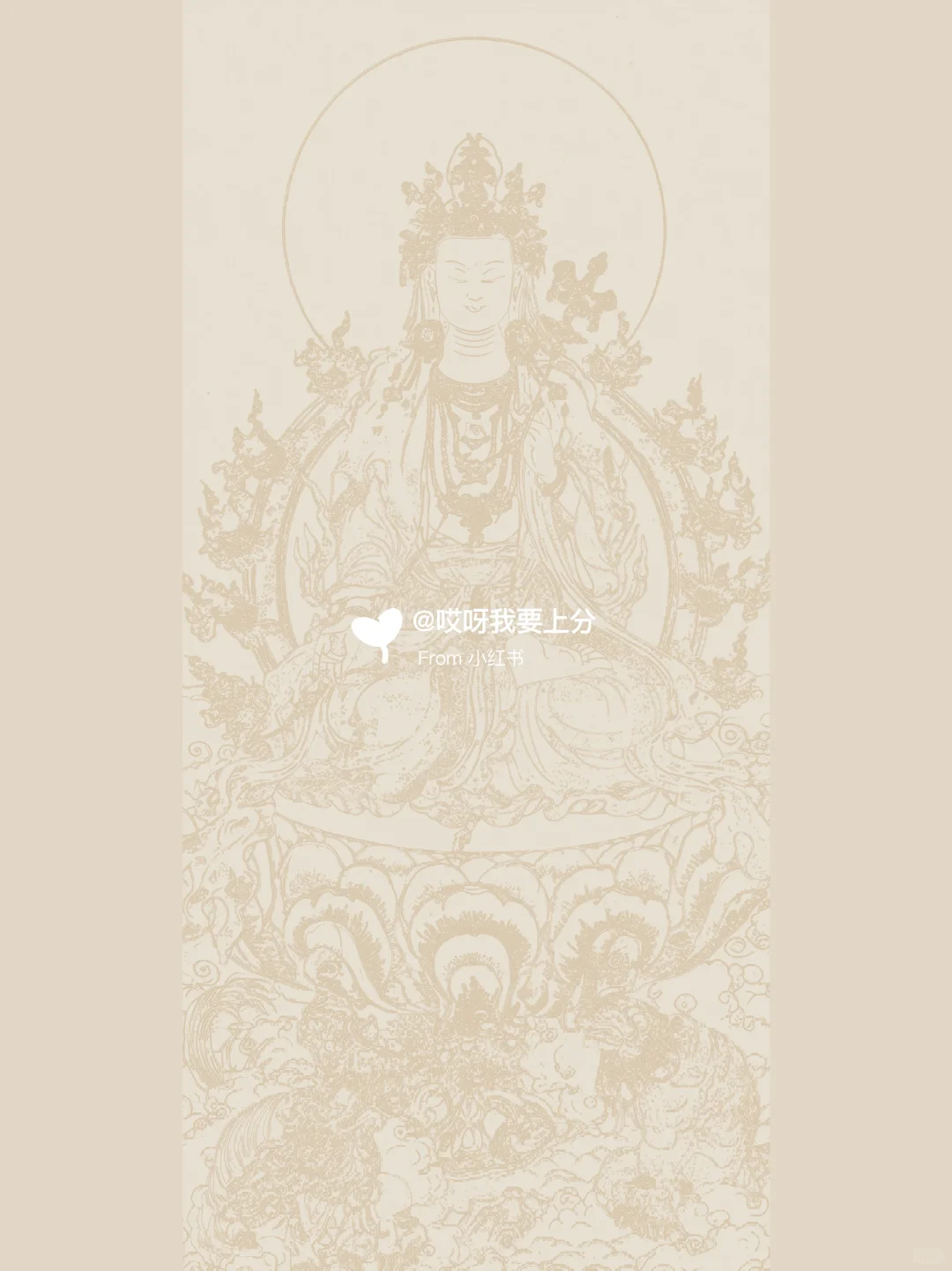 手机壁纸｜高考加油‼️