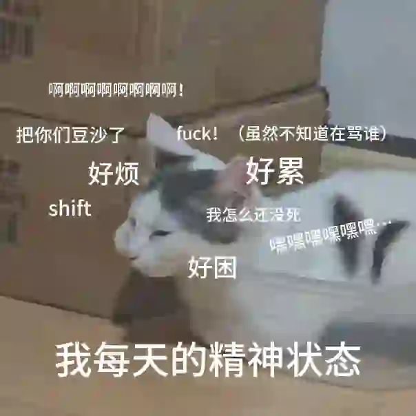 在发疯中摆烂小猫表情包