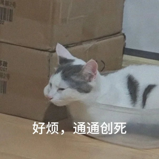 在发疯中摆烂小猫表情包