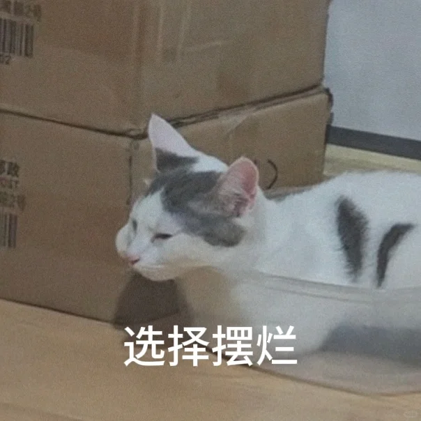 在发疯中摆烂小猫表情包