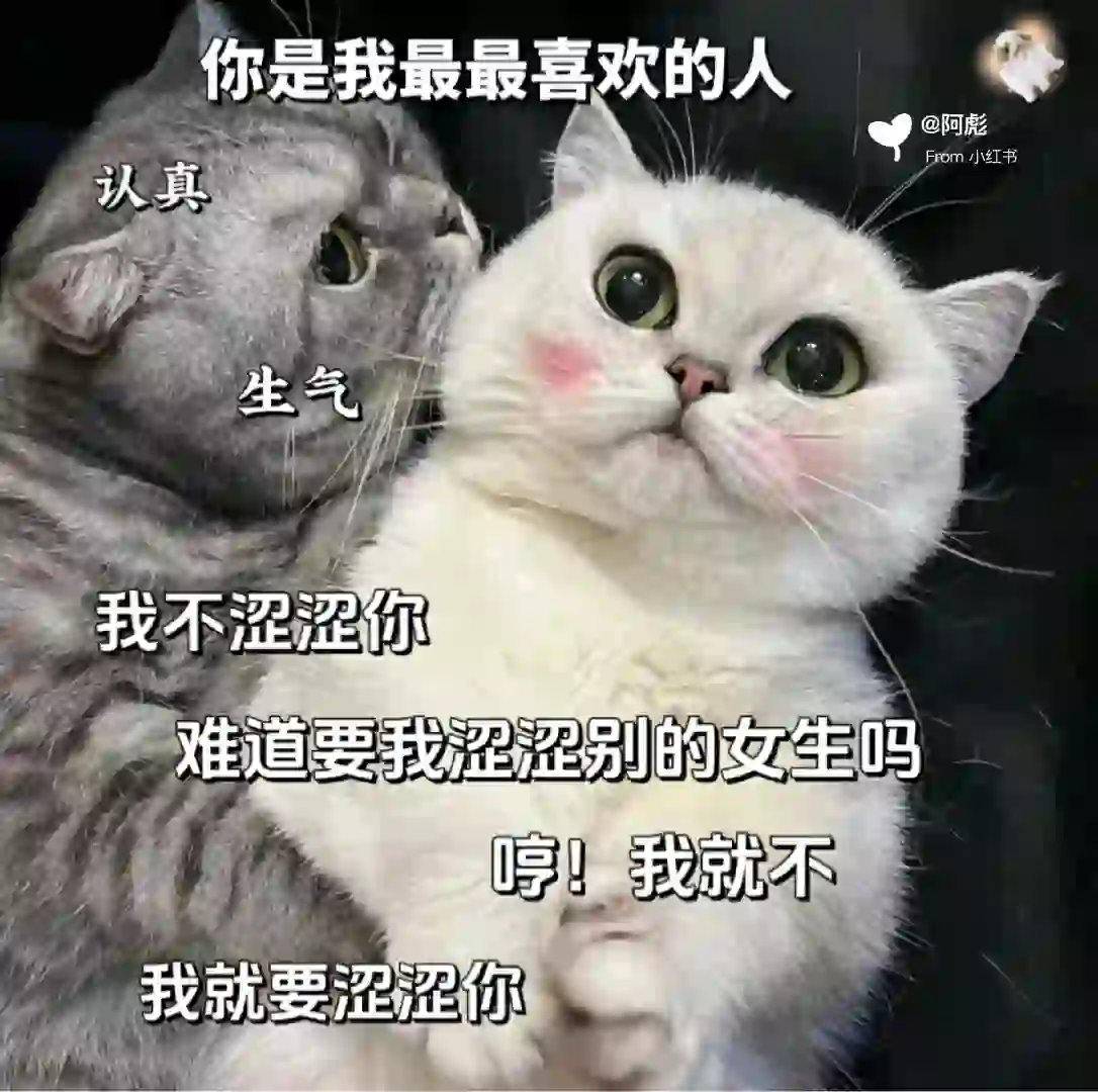 猫咪表情包?你是我最喜欢的人