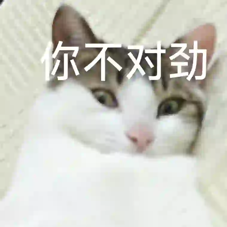 迷上了给小猫做表情包