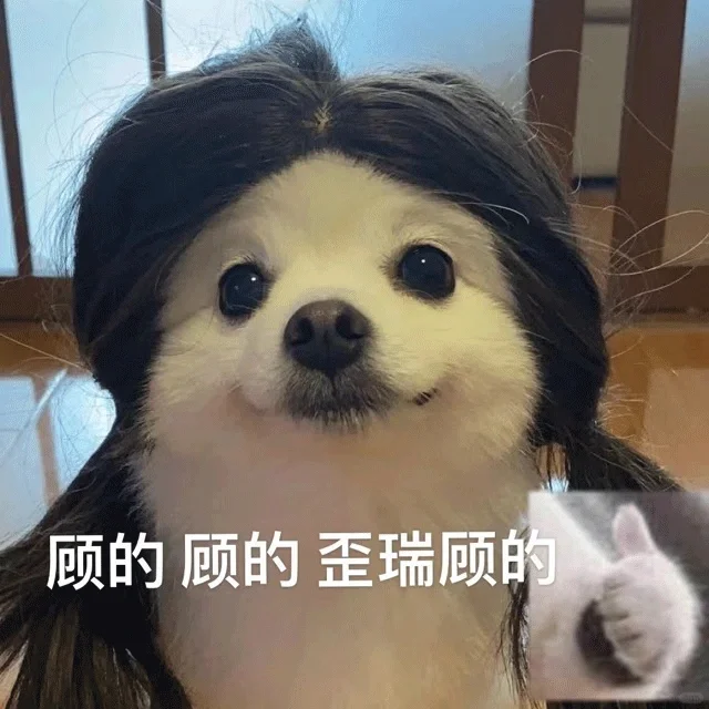 猫子狗子沙雕表情包