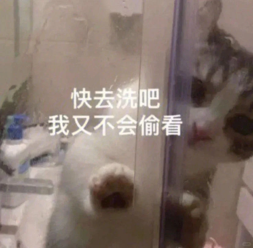 猫子狗子沙雕表情包