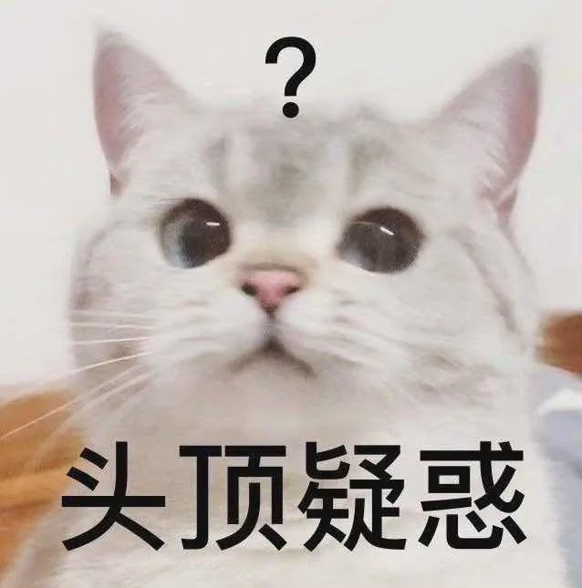 我的乖乖，分享一组可爱猫猫的表情包