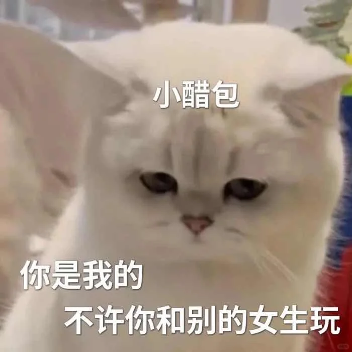 我的乖乖，分享一组可爱猫猫的表情包