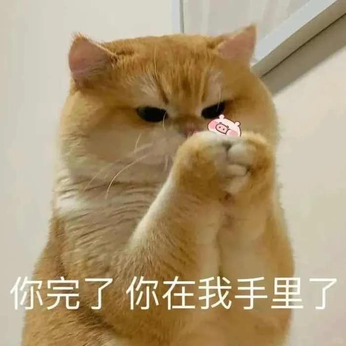 我的乖乖，分享一组可爱猫猫的表情包