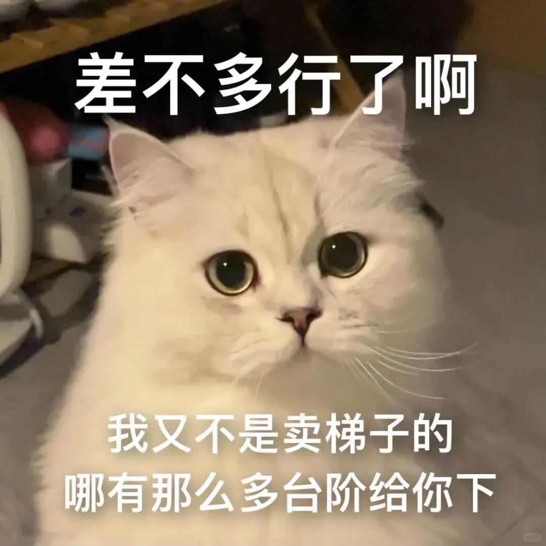 我的乖乖，分享一组可爱猫猫的表情包