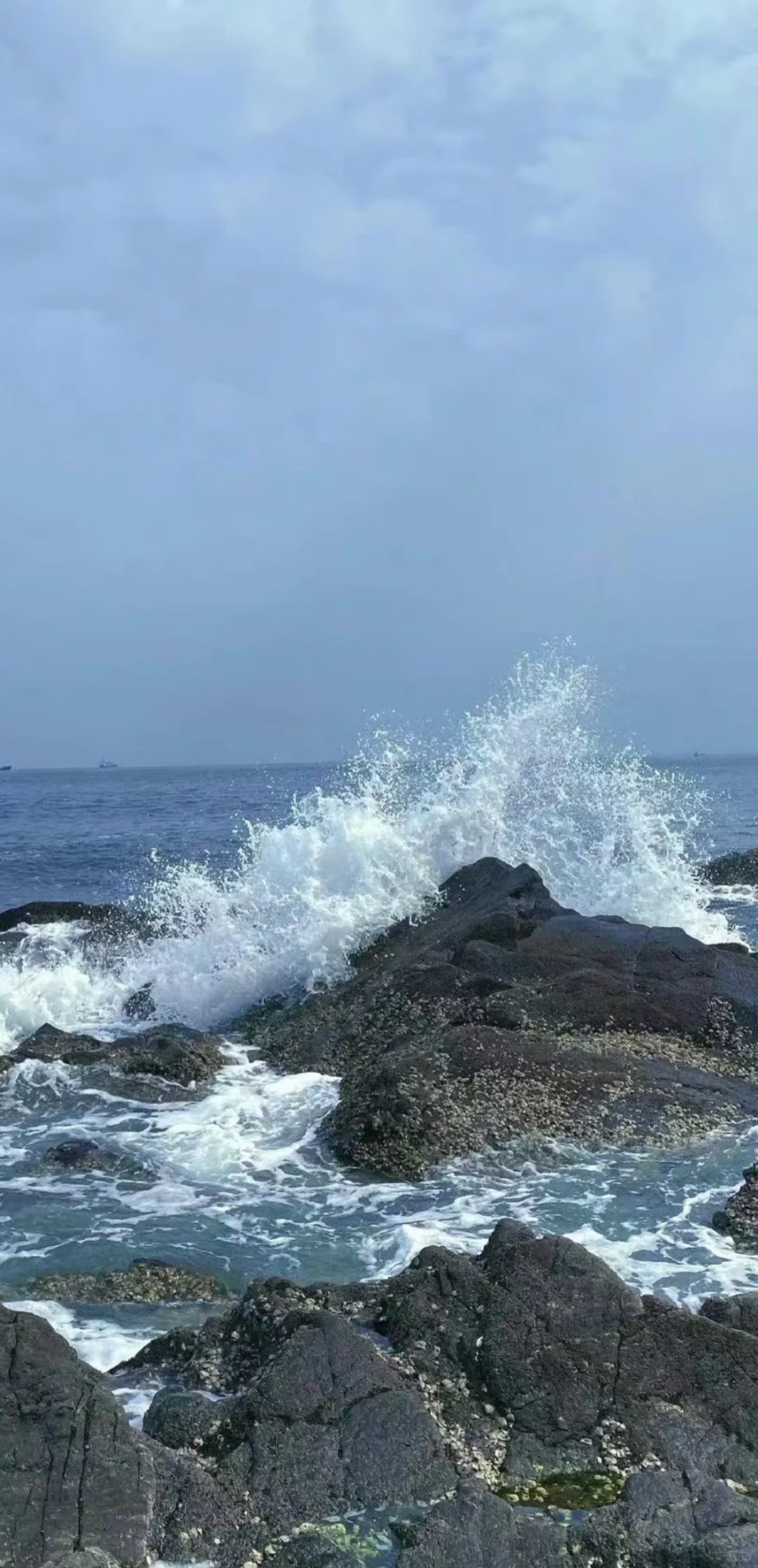 寻找一方净土 蓝色壁纸