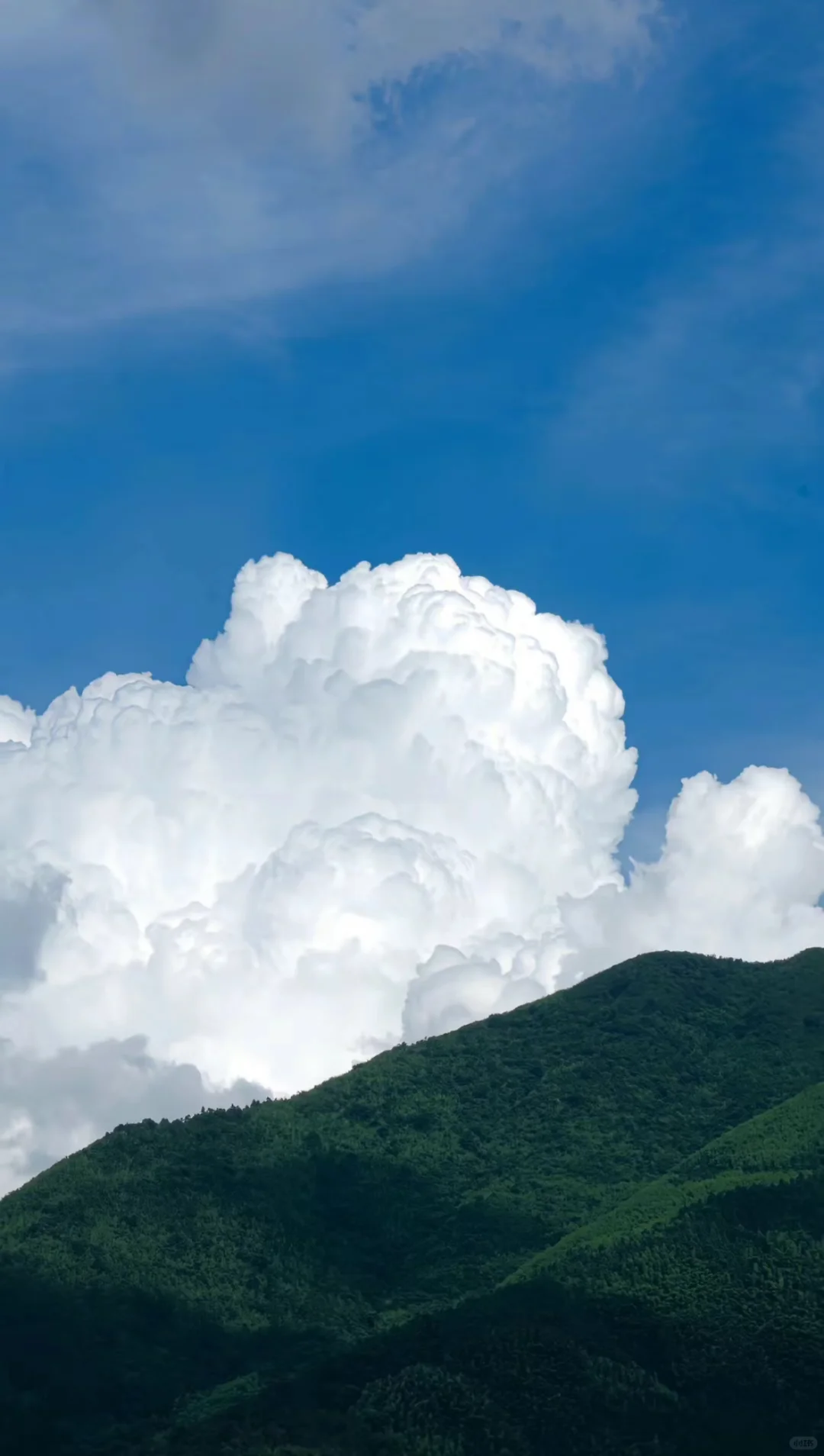 寻找一方净土 蓝色壁纸