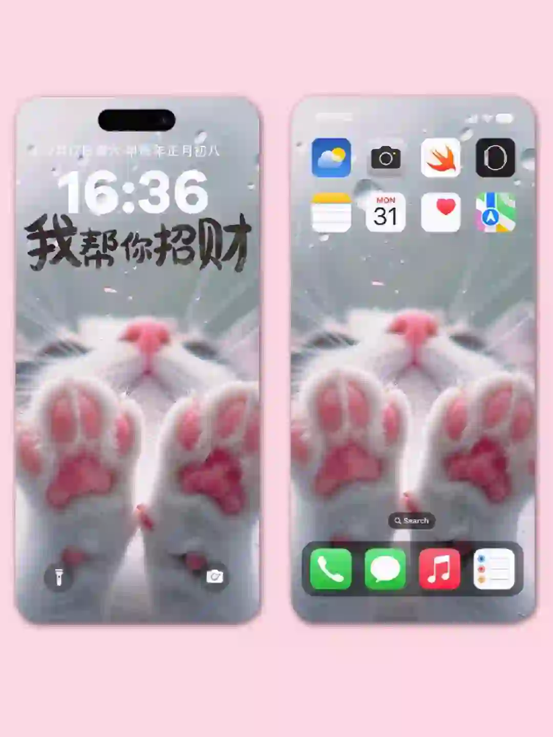 025｜猫猫🐱来啦｜手机竖屏壁纸