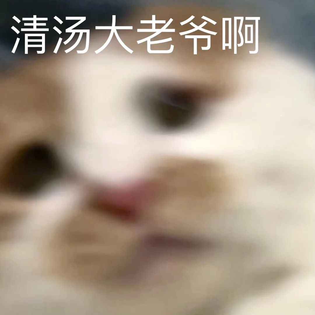 我就是古希腊掌管小猫表情包的神