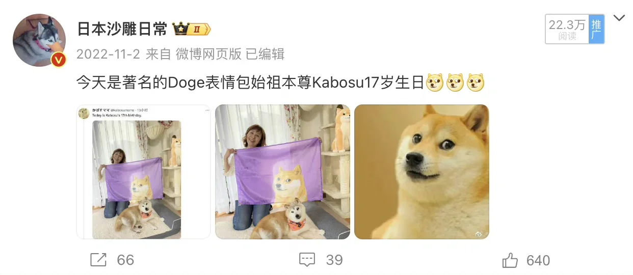 #著名Dog表情包柴狗去世#