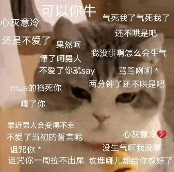 今日份沙雕猫表情包，拿去用