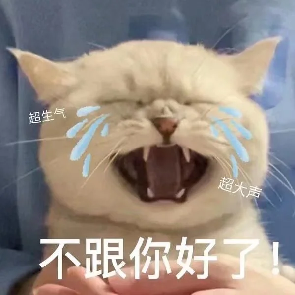 今日份沙雕猫表情包，拿去用