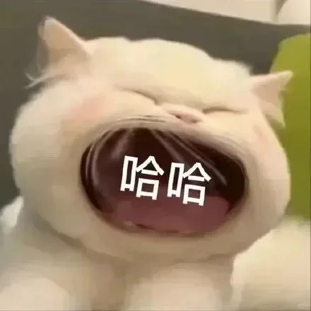 可爱大嘴猫表情包，@波波表情