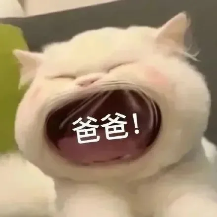 可爱大嘴猫表情包，@波波表情