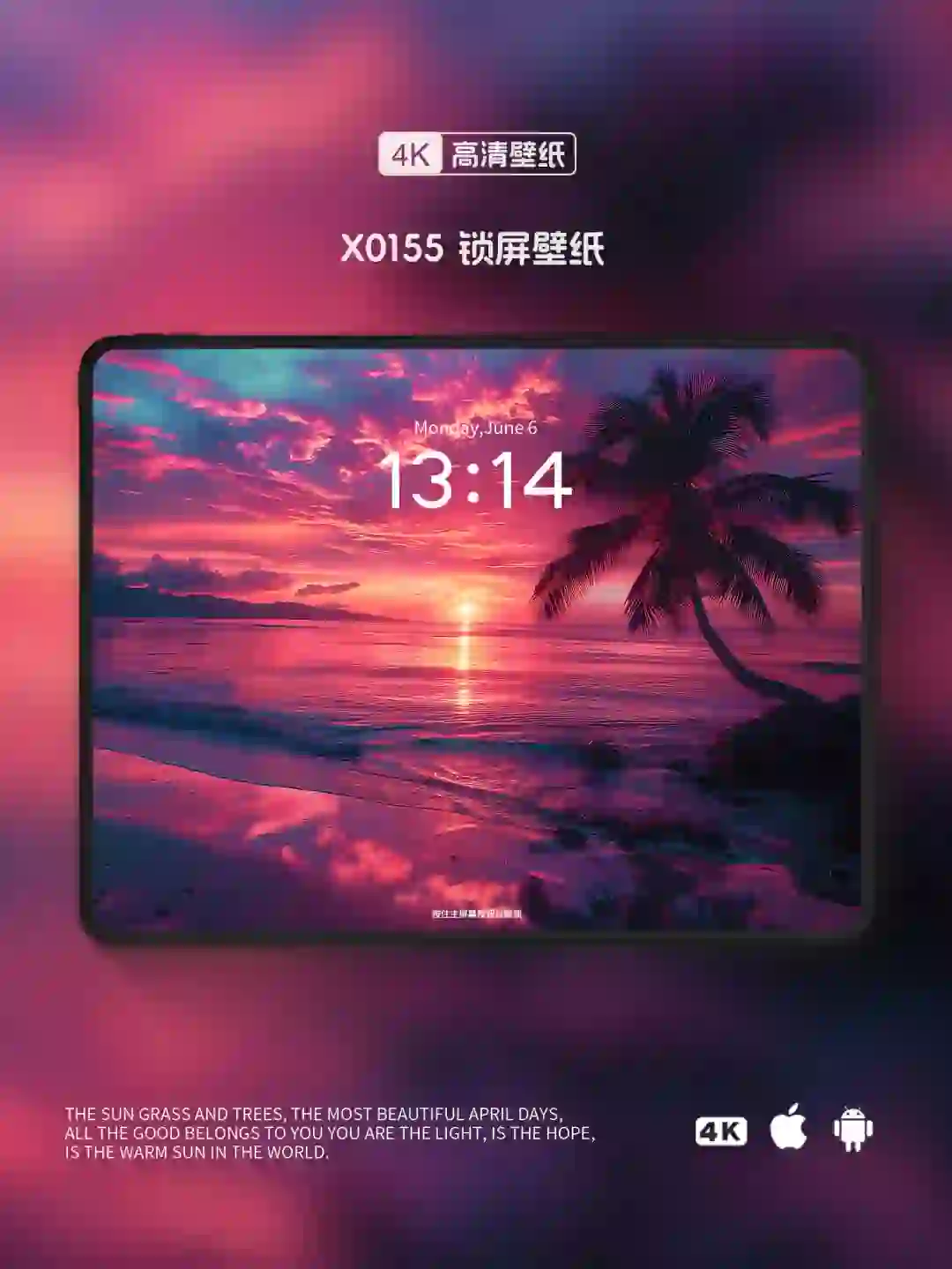 手机&ipad壁纸｜高级氛围感壁纸｜椰树海岸