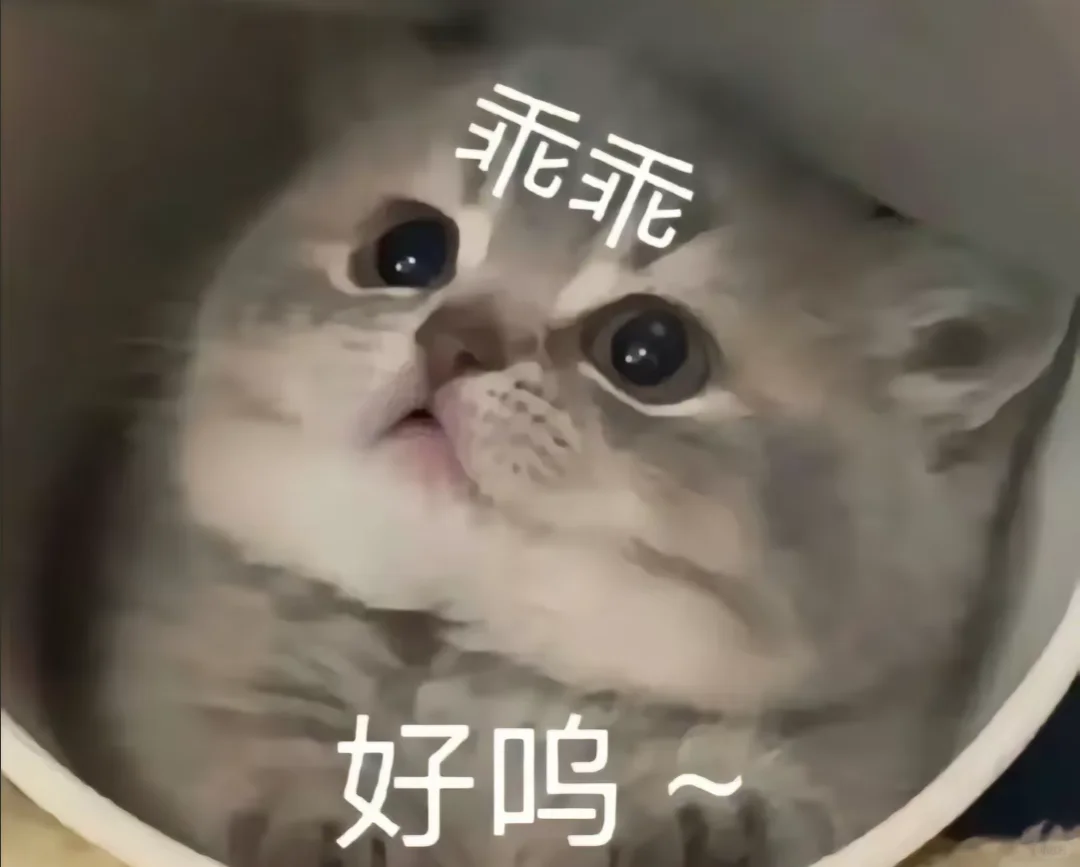 可爱修猫聊天表情包又来啦～