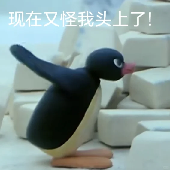 Pingu的表情包3?