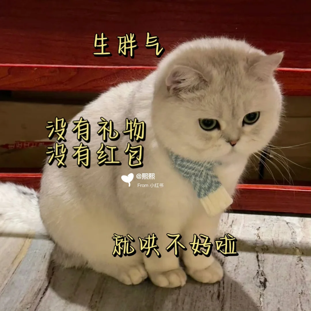 发给你家哥哥的可爱猫咪表情包