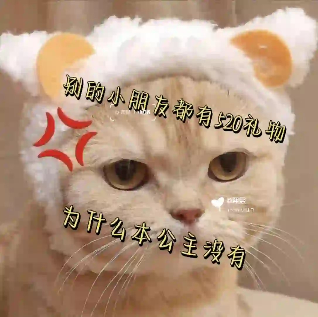 发给你家哥哥的可爱猫咪表情包