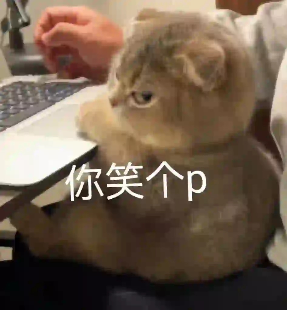 猫咪表情包来了，点赞收藏???