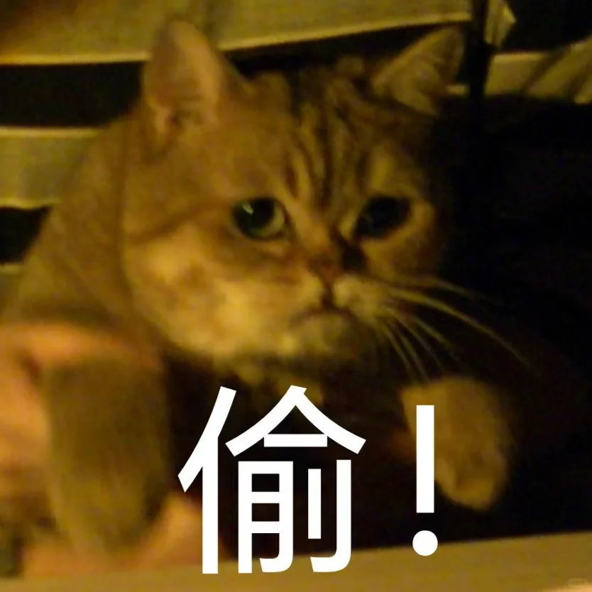 建议大家拍到猫猫表情包不要发朋友圈