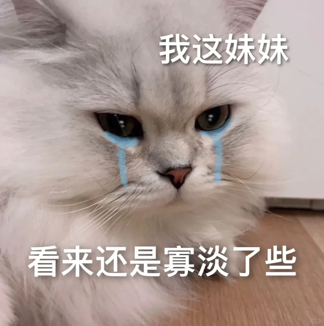 撒娇卖萌的猫咪表情包