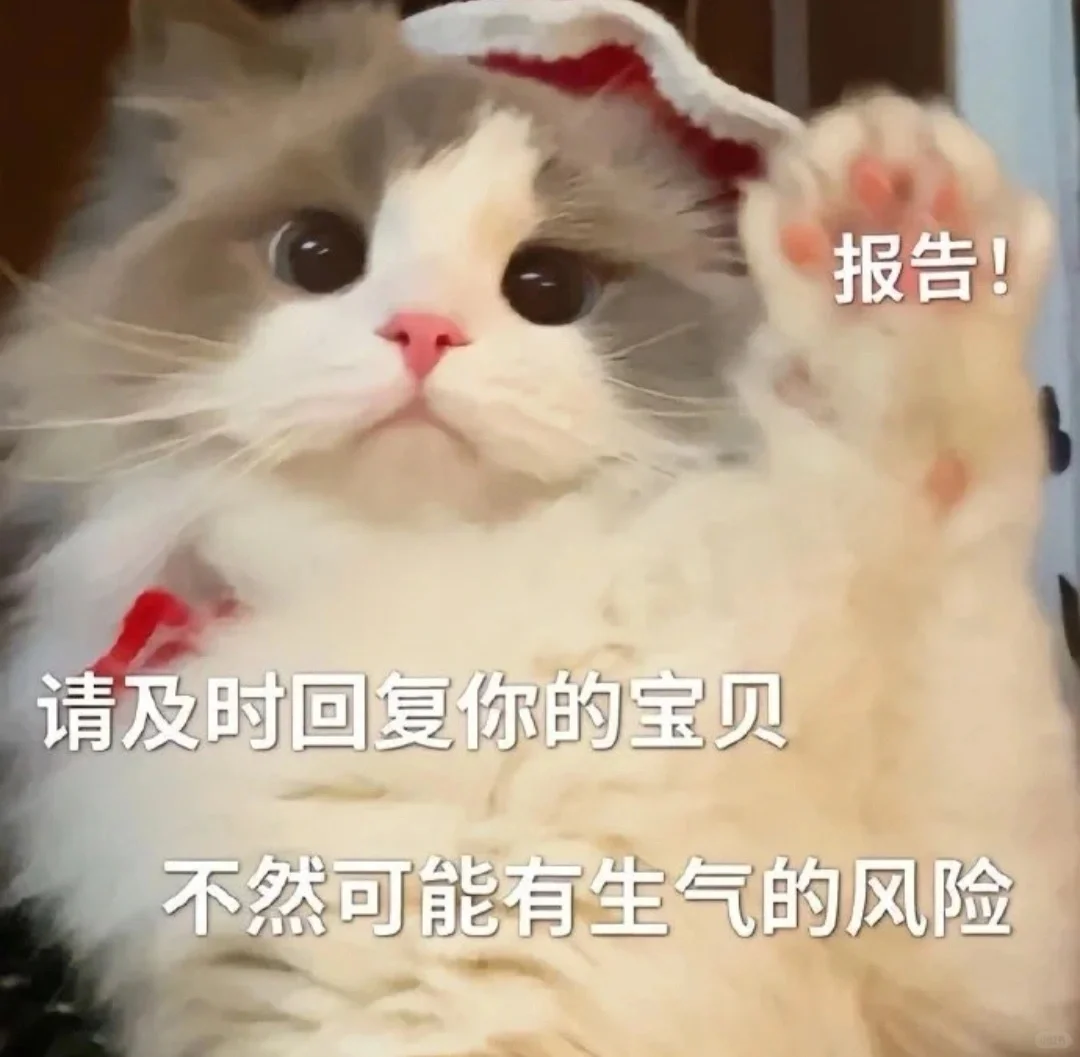 撒娇卖萌的猫咪表情包