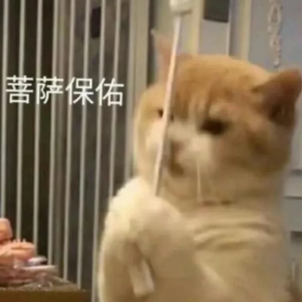 可可爱爱的猫猫表情包