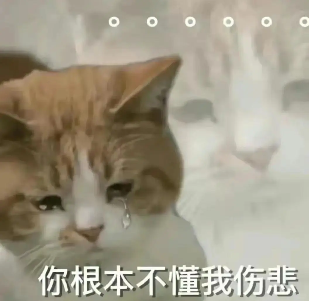 猫咪搞笑表情包