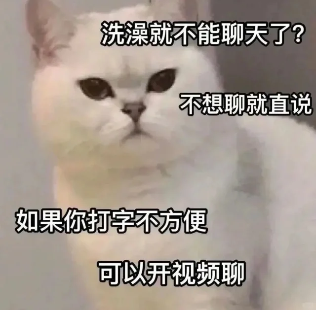 猫咪表情包 套图（哄不好）