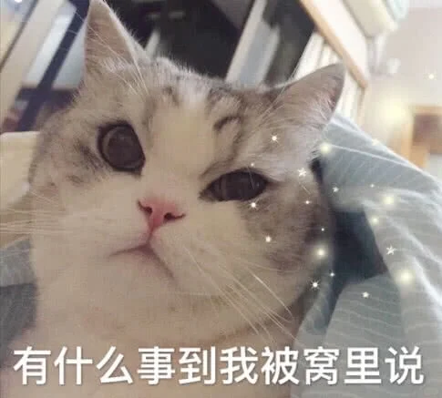 猫咪表情包 套图（哄不好）