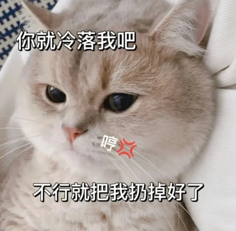 撒娇卖萌的猫咪表情包