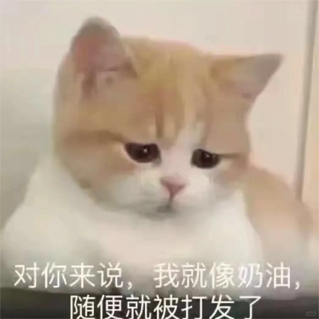 猫咪?表情包，很委屈?