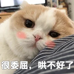 猫咪表情包 套图（哄不好）