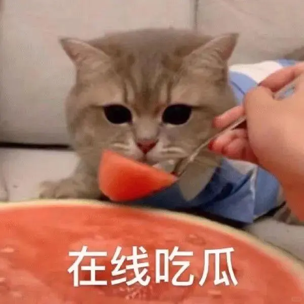 猫咪搞笑表情包