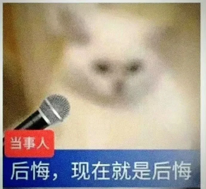 今日份沙雕猫表情包，拿去用吧