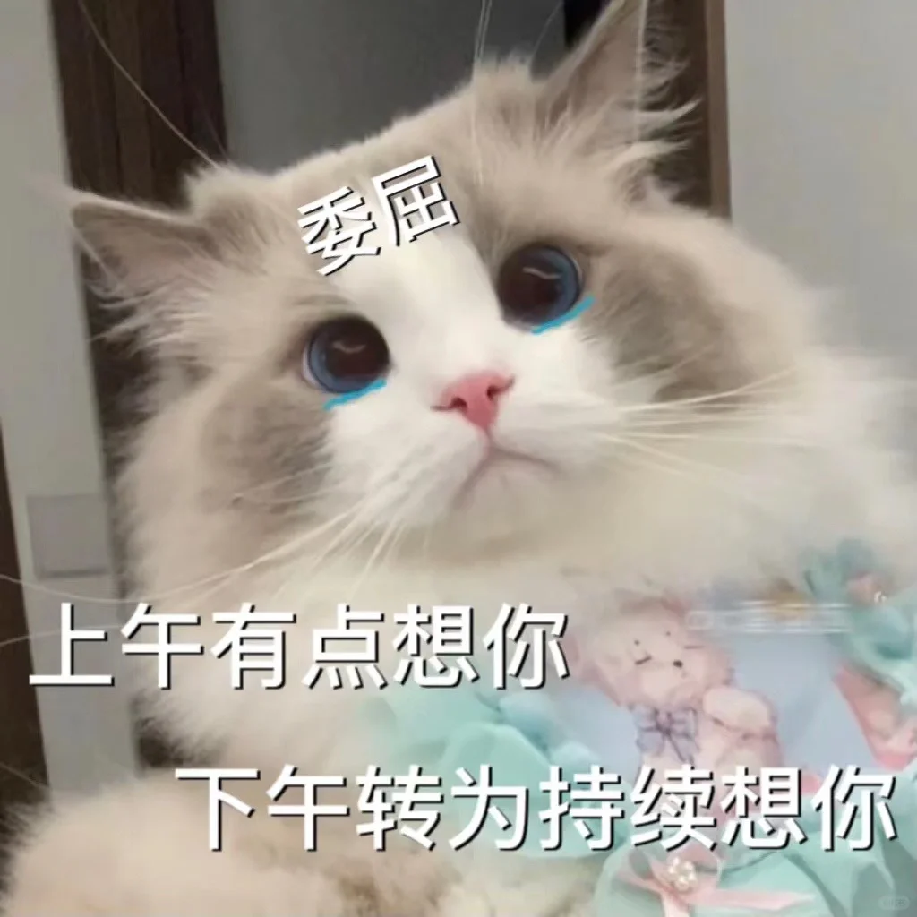 猫咪?表情包，很委屈?