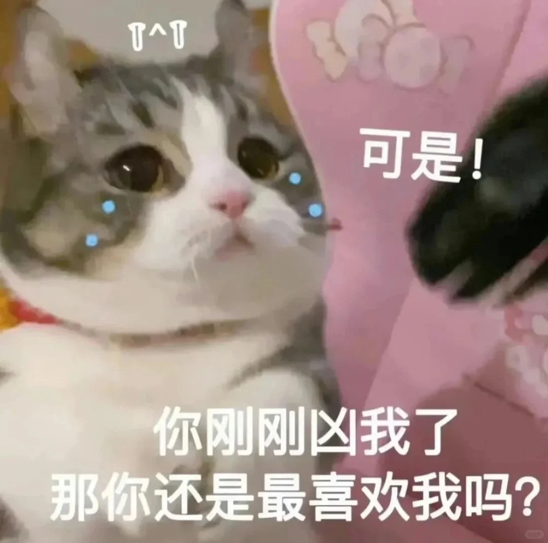 撒娇卖萌的猫咪表情包