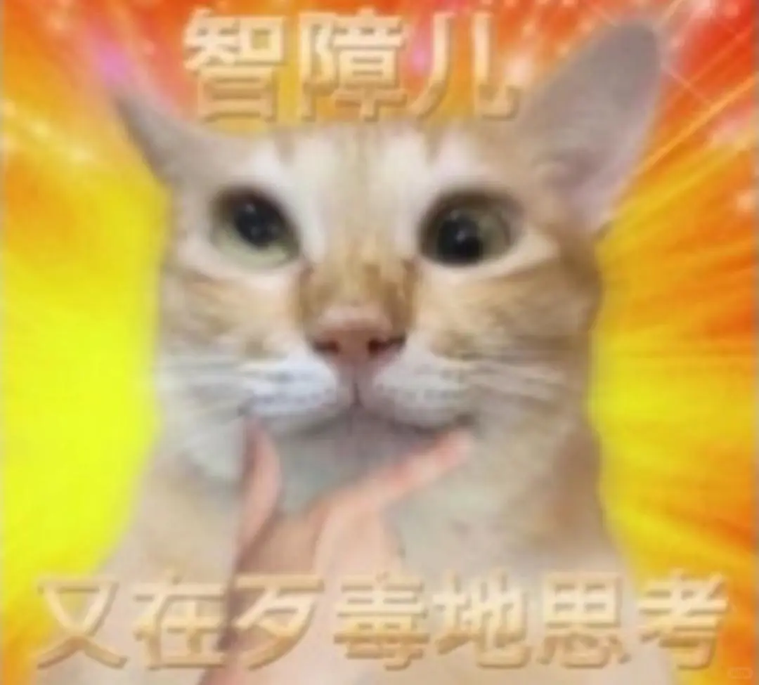 猫咪搞笑表情包