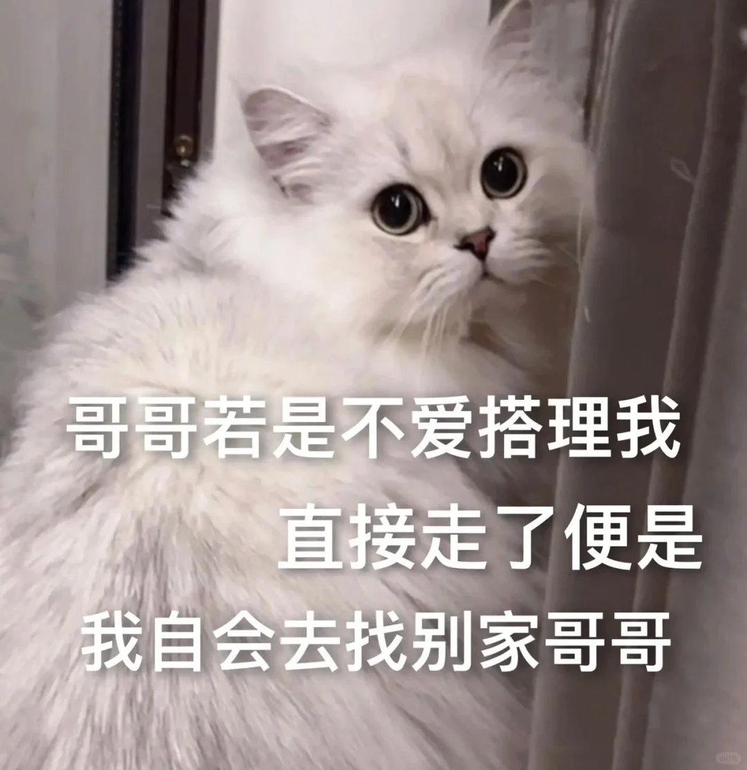 撒娇卖萌的猫咪表情包