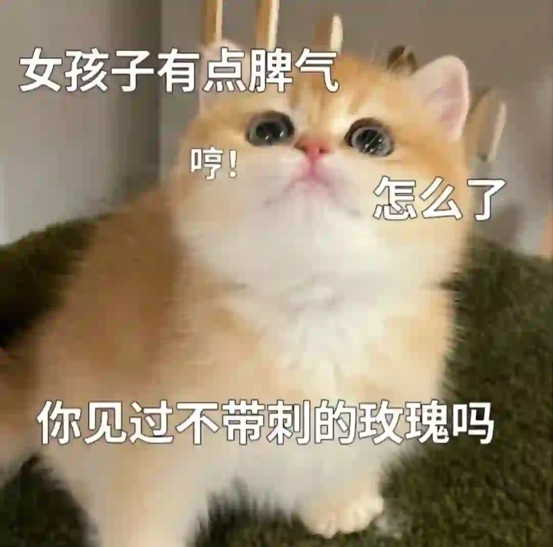 撒娇卖萌的猫咪表情包