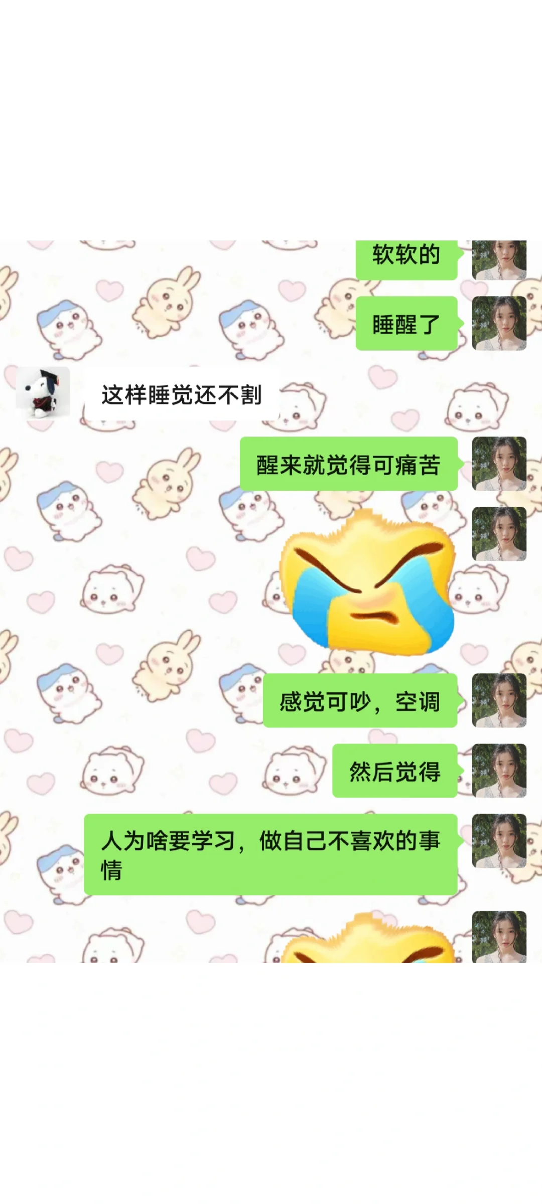 无水印表情包自取