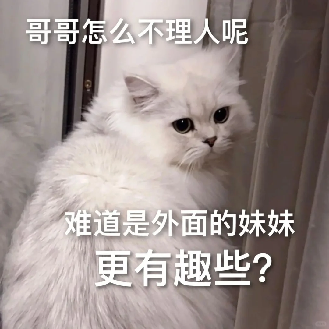 撒娇卖萌的猫咪表情包